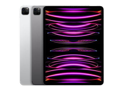 Apple iPad Pro 12,9 Zoll (2022) WiFi 128GB verkaufen